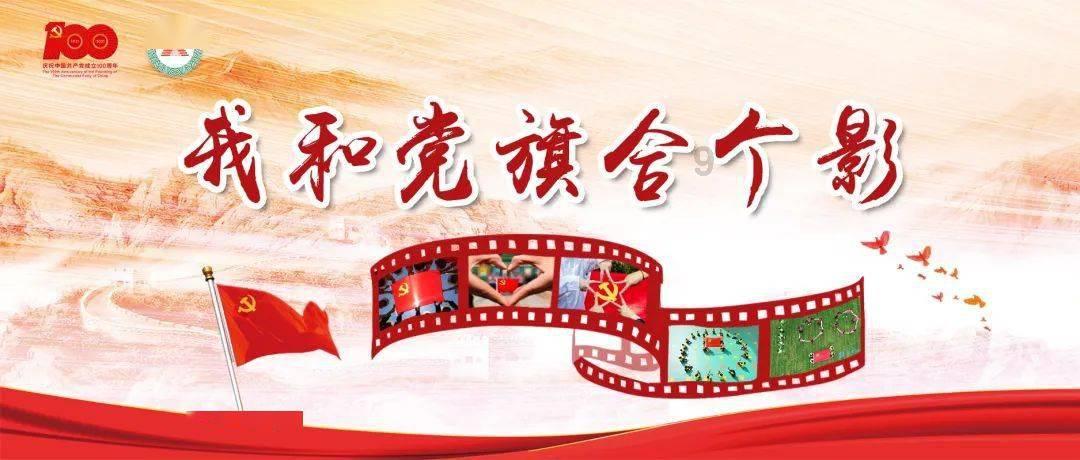 有趣的动物拼图