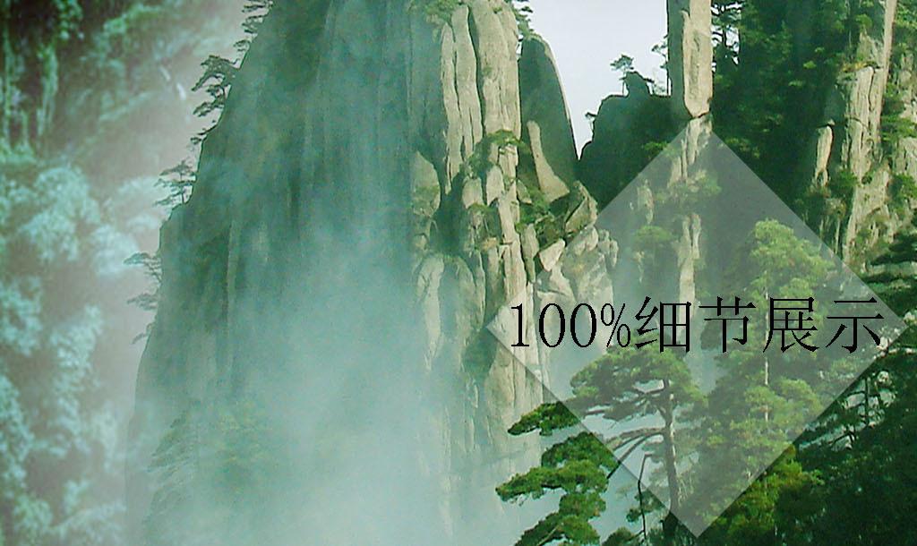 杀出重围人类分裂